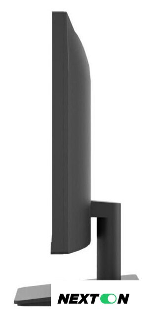 Монитор LG 24MS500-B - Изображение №6 — Интернет-магазин Nexton