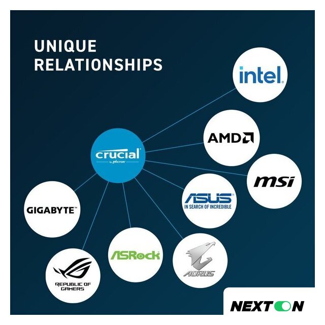 Оперативная память Crucial 8ГБ DDR5 5600 МГц CT8G56C46U5 - Изображение №4 — Интернет-магазин Nexton