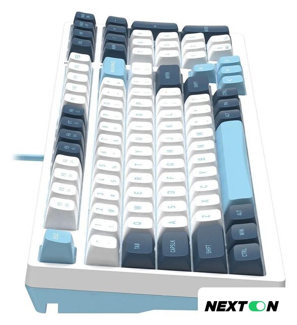 Клавиатура A4Tech Fstyler FS300 Panda Snowboarding - Изображение №9 — Интернет-магазин Nexton