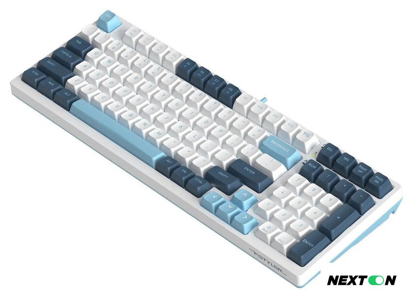 Клавиатура A4Tech Fstyler FS300 Panda Snowboarding - Изображение №6 — Интернет-магазин Nexton