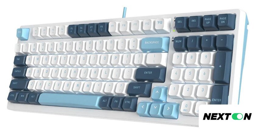 Клавиатура A4Tech Fstyler FS300 Panda Snowboarding - Изображение №4 — Интернет-магазин Nexton