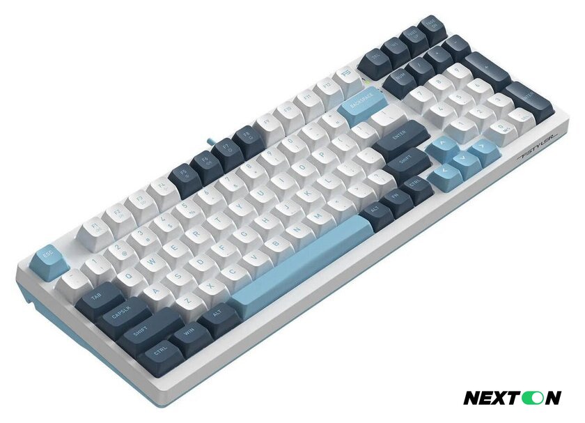 Клавиатура A4Tech Fstyler FS300 Panda Snowboarding - Изображение №5 — Интернет-магазин Nexton