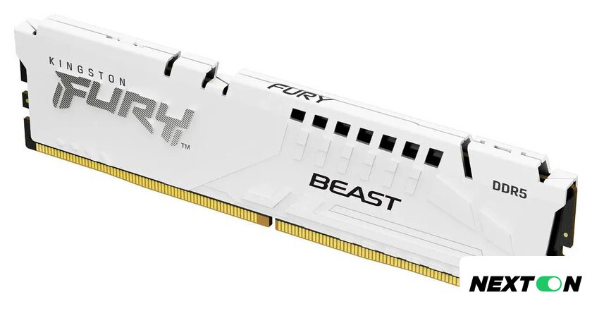 Оперативная память Kingston FURY Beast 16ГБ DDR5 6000 МГц KF560C30BWE-16 - Изображение №1 — Интернет-магазин Nexton