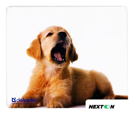 Коврик для мыши Defender Silk (50706) - Изображение №8 — Интернет-магазин Nexton