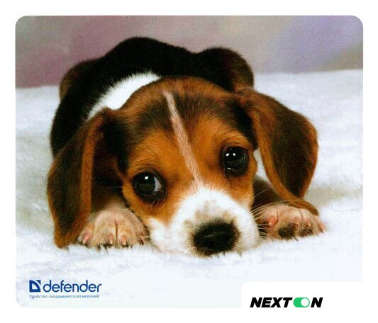 Коврик для мыши Defender Silk (50706) - Изображение №2 — Интернет-магазин Nexton