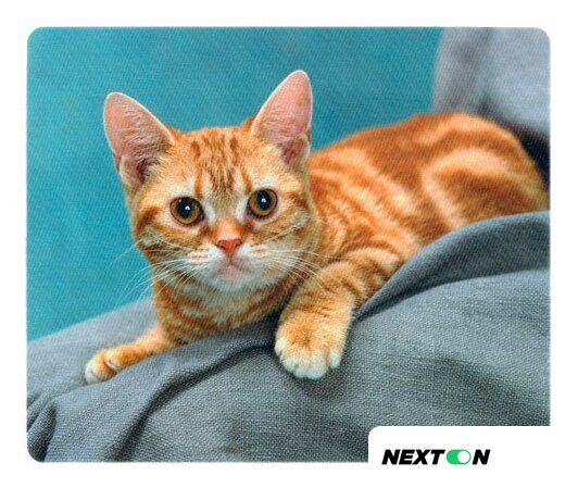 Коврик для мыши Defender Silk (50706) - Изображение №9 — Интернет-магазин Nexton