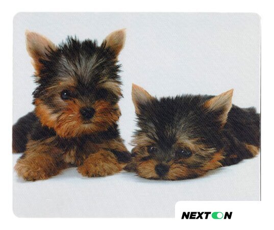 Коврик для мыши Defender Silk (50706) - Изображение №6 — Интернет-магазин Nexton