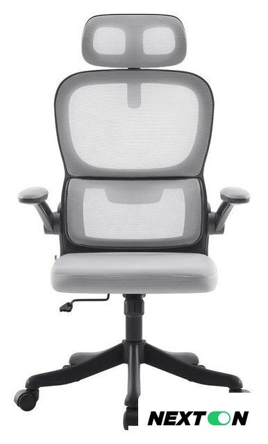 Офисное кресло Defender Varna (серый) - Изображение №2 — Интернет-магазин Nexton