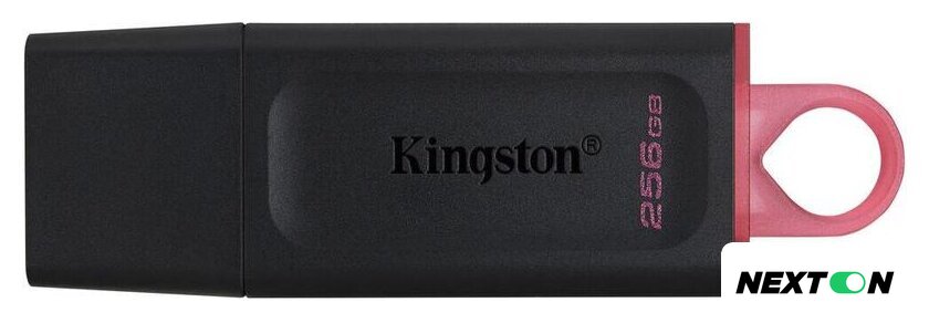 USB Flash Kingston DataTraveler Exodia 256GB - Изображение №1 — Интернет-магазин Nexton