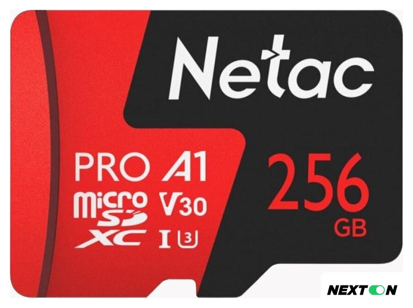 Карта памяти Netac P500 Extreme Pro 256GB NT02P500PRO-256G-S - Изображение №1 — Интернет-магазин Nexton