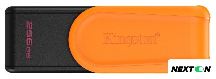 USB Flash Kingston DataTraveler Exodia S 256GB DTXS/256GB - Изображение №1 — Интернет-магазин Nexton