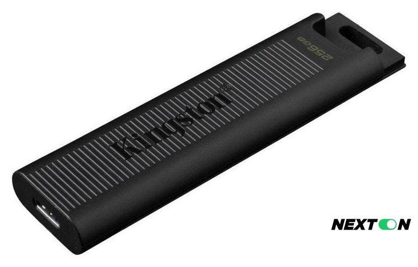 USB Flash Kingston DataTraveler Max Type-C 256GB - Изображение №3 — Интернет-магазин Nexton