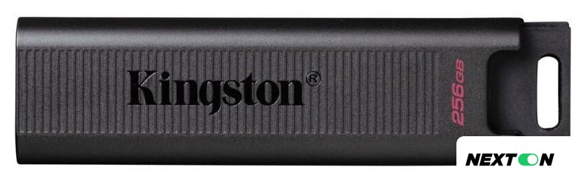 USB Flash Kingston DataTraveler Max Type-C 256GB - Изображение №1 — Интернет-магазин Nexton