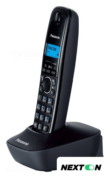 Panasonic KX-TG1611RUF - Изображение №6 — Интернет-магазин Nexton