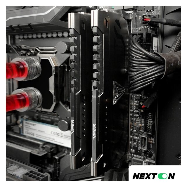 Оперативная память Patriot Viper Steel 16GB DDR4 PC4-25600 PVS416G320C6 - Изображение №2 — Интернет-магазин Nexton