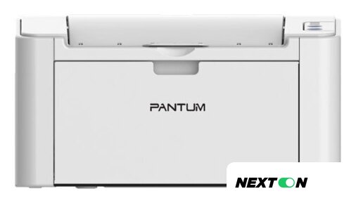 Принтер Pantum P2200 - Изображение №1 — Интернет-магазин Nexton
