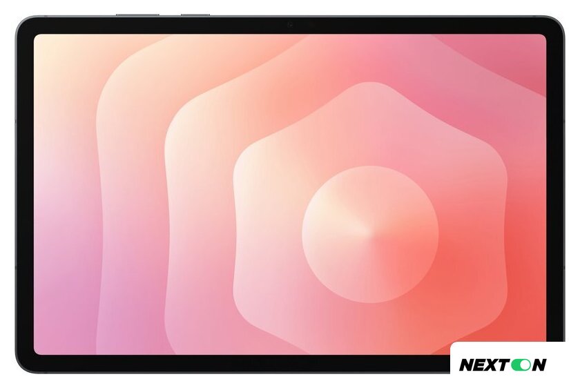 Планшет Samsung Galaxy Tab S11 Wi-Fi SM-X730 12GB/128GB (серый) - Изображение №2 — Интернет-магазин Nexton