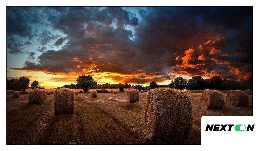 Информационная панель Samsung VM55T-U - Изображение №1 — Интернет-магазин Nexton