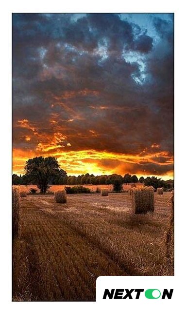 Информационная панель Samsung VM55T-U - Изображение №6 — Интернет-магазин Nexton