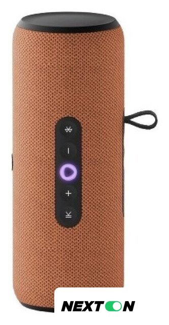 Умная колонка Яндекс Станция Стрит (оранжевый) - Изображение №2 — Интернет-магазин Nexton