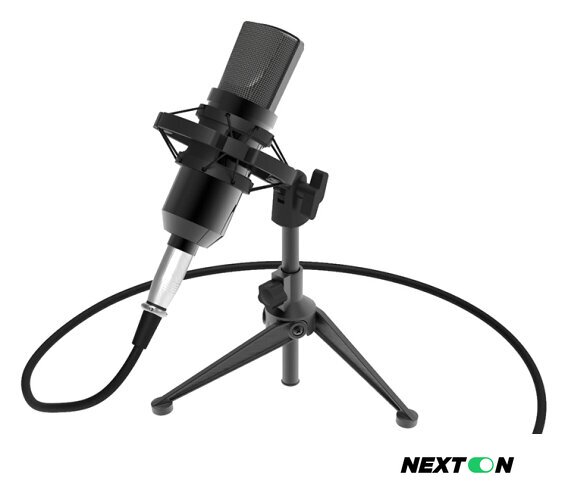 Проводной микрофон Ritmix RDM-160 - Изображение №2 — Интернет-магазин Nexton