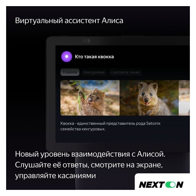 Колонка с умным дисплеем Яндекс Станция Дуо Макс (черный) - Изображение №5 — Интернет-магазин Nexton