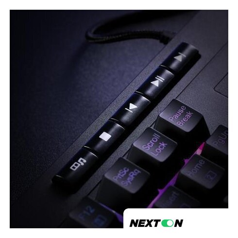 Клавиатура Redragon Shiva - Изображение №14 — Интернет-магазин Nexton