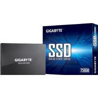 SSD Gigabyte 256GB GP-GSTFS31256GTND - Превью изображения №4 — Интернет-магазин Nexton