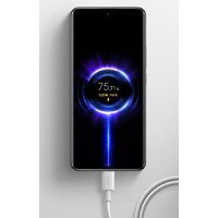 Кабель Xiaomi 120W USB Type-C - USB Type-C BHR087AGL (2 м, белый) - Превью изображения №4 — Интернет-магазин Nexton