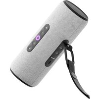 Яндекс Станция Стрит (серый)