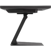 Монитор iiyama ProLite T2452MSC-B1 - Превью изображения №10 — Интернет-магазин Nexton