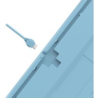 Клавиатура A4Tech Fstyler FS300 Panda Snowboarding - Превью изображения №14 — Интернет-магазин Nexton