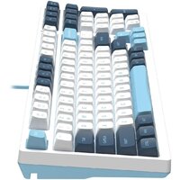 Клавиатура A4Tech Fstyler FS300 Panda Snowboarding - Превью изображения №9 — Интернет-магазин Nexton