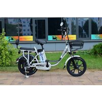 Электровелосипед Terax ROXY NS010 - Превью изображения №2 — Интернет-магазин Nexton