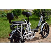 Электровелосипед Terax ROXY NS010 - Превью изображения №6 — Интернет-магазин Nexton