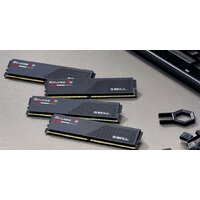 Оперативная память G.Skill Ripjaws S5 2x32ГБ DDR5 5200 МГц F5-5200J4040A32GX2-RS5K - Превью изображения №5 — Интернет-магазин Nexton