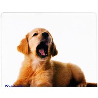 Коврик для мыши Defender Silk (50706) - Превью изображения №8 — Интернет-магазин Nexton