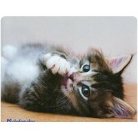 Коврик для мыши Defender Silk (50706) - Превью изображения №7 — Интернет-магазин Nexton