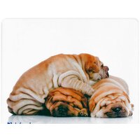 Коврик для мыши Defender Silk (50706) - Превью изображения №10 — Интернет-магазин Nexton