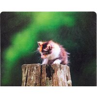 Коврик для мыши Defender Silk (50706) - Превью изображения №3 — Интернет-магазин Nexton