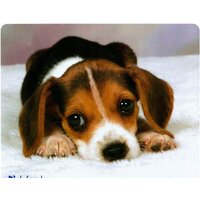 Коврик для мыши Defender Silk (50706) - Превью изображения №2 — Интернет-магазин Nexton