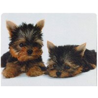 Коврик для мыши Defender Silk (50706) - Превью изображения №6 — Интернет-магазин Nexton