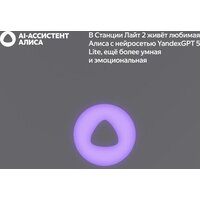 Умная колонка Яндекс Станция Лайт 2 (серый) - Превью изображения №7 — Интернет-магазин Nexton