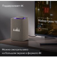 Умная колонка Яндекс Станция Макс (с хабом умного дома Zigbee, бежевый) - Превью изображения №5 — Интернет-магазин Nexton