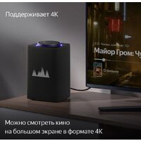 Умная колонка Яндекс Станция Макс (с хабом умного дома Zigbee, графит) - Превью изображения №5 — Интернет-магазин Nexton