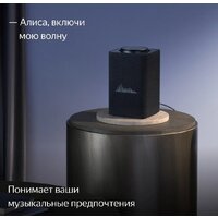 Умная колонка Яндекс Станция Макс (с хабом умного дома Zigbee, графит) - Превью изображения №9 — Интернет-магазин Nexton