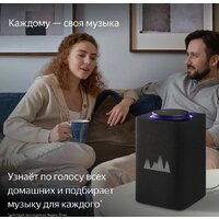Умная колонка Яндекс Станция Макс (с хабом умного дома Zigbee, графит) - Превью изображения №8 — Интернет-магазин Nexton
