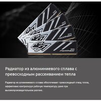Оперативная память Apacer Panther 2x16ГБ DDR5 5200 МГц AH5U32G52C5227BAA-2 - Превью изображения №7 — Интернет-магазин Nexton