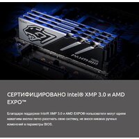 Оперативная память Apacer Panther 2x16ГБ DDR5 5200 МГц AH5U32G52C5227BAA-2 - Превью изображения №9 — Интернет-магазин Nexton