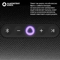 Умная колонка Яндекс Станция Стрит (черный) - Превью изображения №8 — Интернет-магазин Nexton